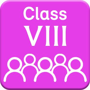 Class VIII