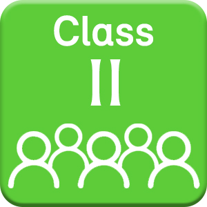 Class II